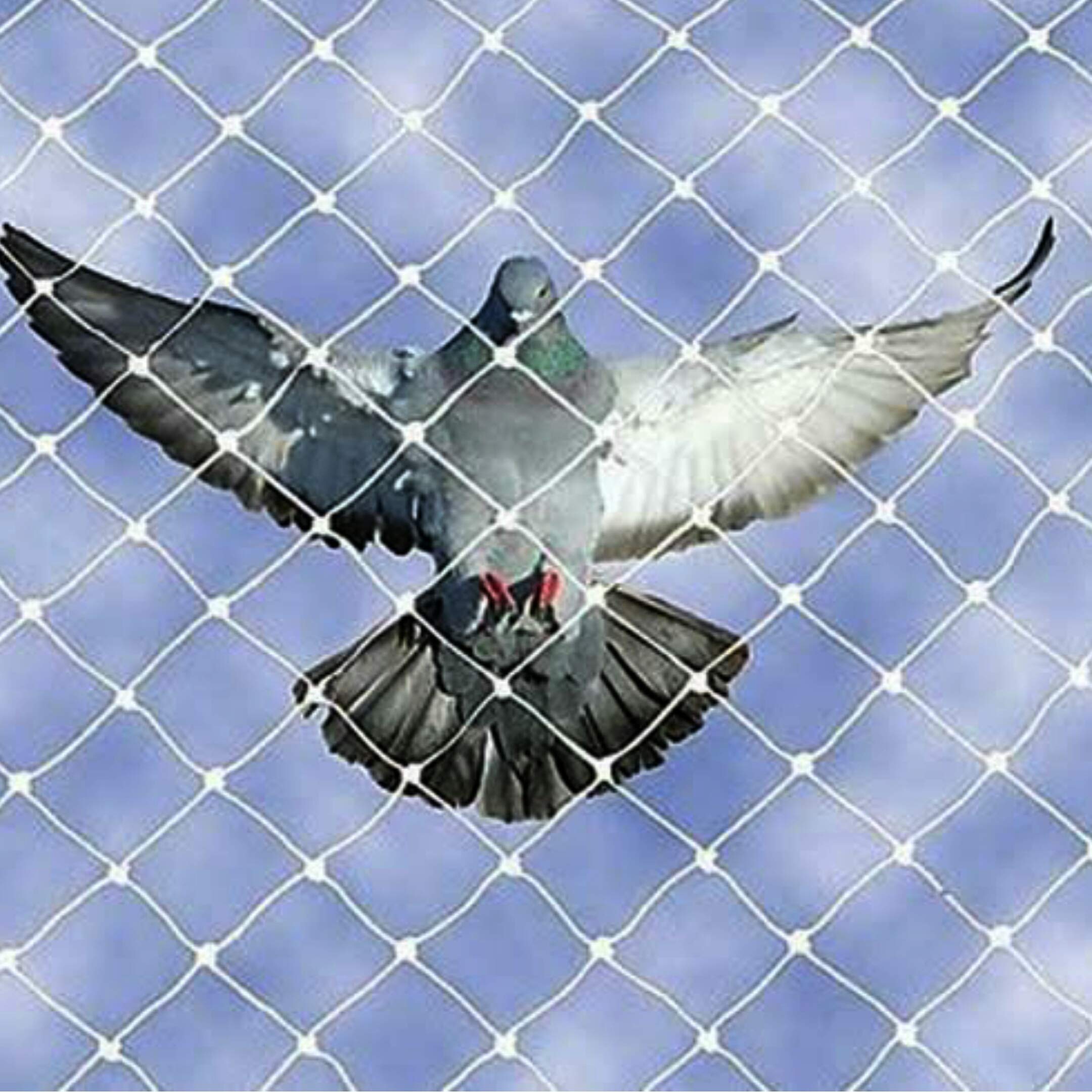 NMK NETS Anti Bird Net Bird Control net Heavy with Cable Ties and Nail Clip (22 x 10 Foot, White)-image-26