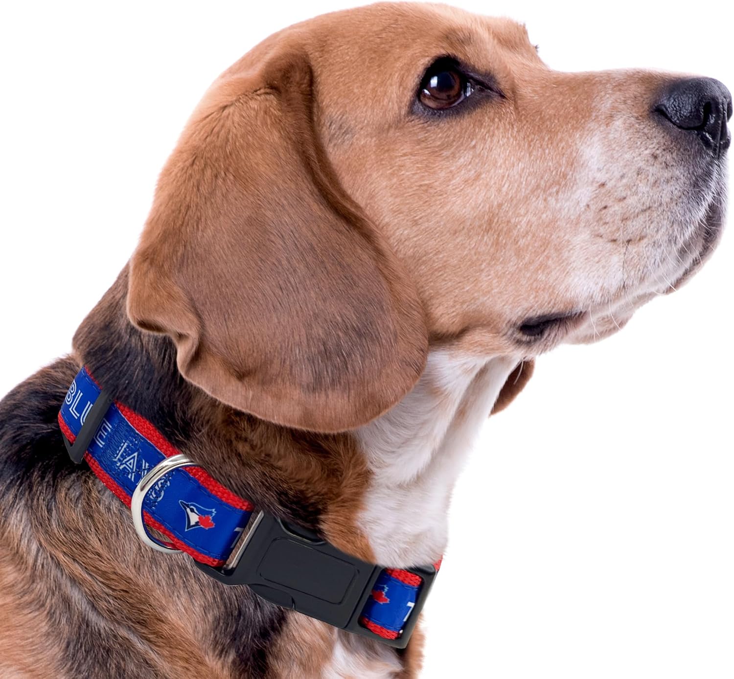MLB Toronto Blue Jays Dog & Cat Collar, Large. Baseball Team Collar for Dogs & Cats. Shiny & Colorful, Licensed by The MLB