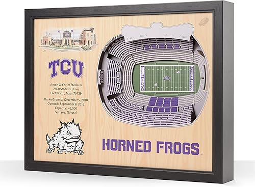 Miniatura 69 de YouTheFan NCAA Arte de Pared StadiumView de 25 Capas