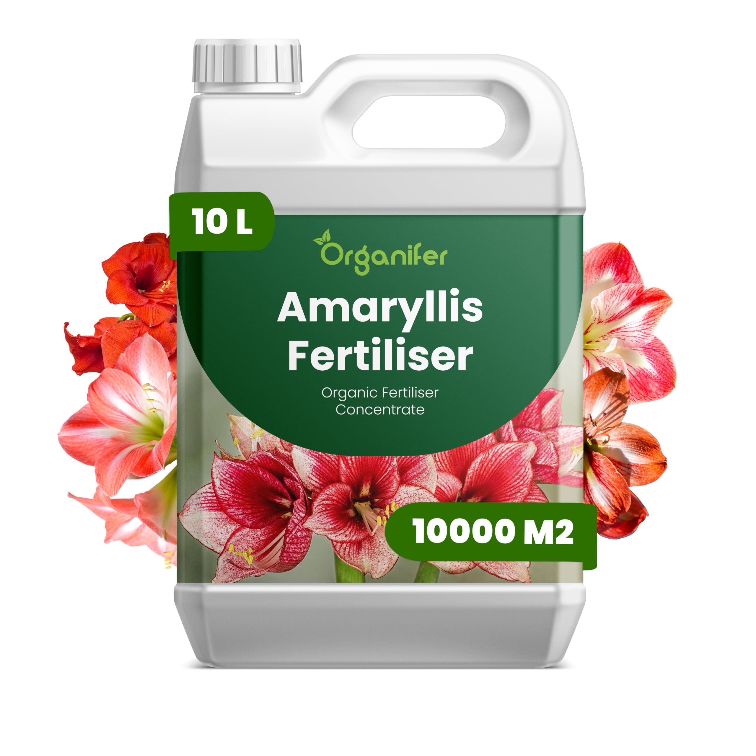 Amaryllis Płynny Nawóz - 10L - NPK 3-4-3 | Nawóz Płynny Dla Dużych Kwiatów I Mocnych Cebul - Wspomaga Rozwój Korzeni I Witalność - Organifer