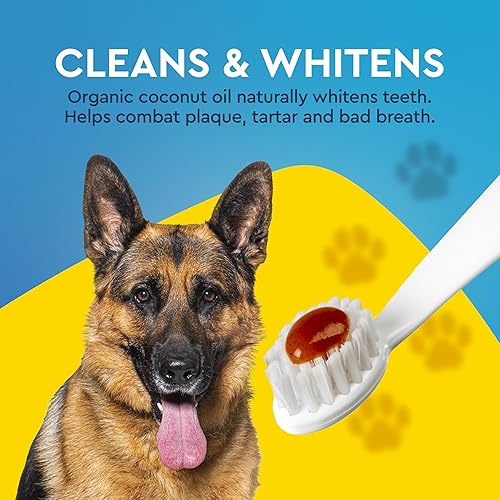 Miniatura 2 de RADIUS USDA - Pasta dental orgánica canina para mascotas, 2 unidades, 3 onzas, pasta dental no tóxica para perros, diseñada para limpiar los dientes