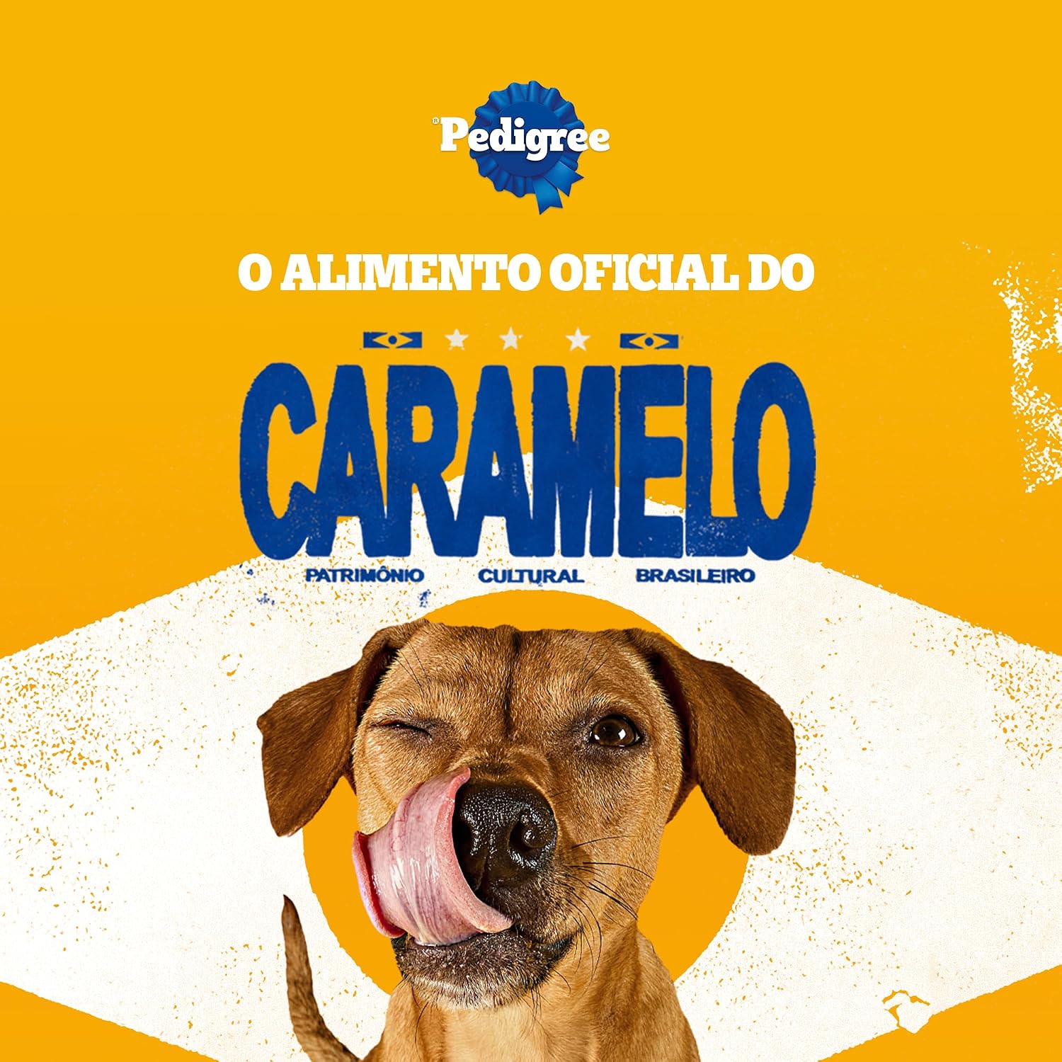 Biscoito Para Cachorros Pedigree Marrobone Carne Adultos 500g