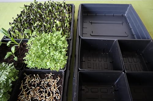Plateau professionnel Deep Microgreen 1020 - Pas de trous - Lot de 10 - 5