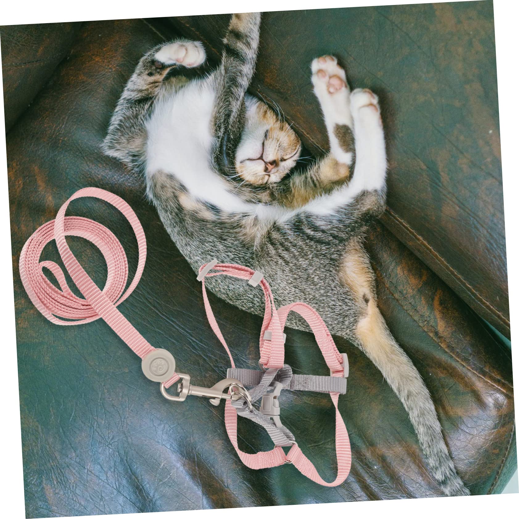 minkissy 5 Juegos de arnés Ajustable para Gatos, Correa para Mascotas pequeñas, arnés para Gatitos pequeños, Chaleco para Gatos, para Perros pequeños, para Gatitos y Correa de Escape,