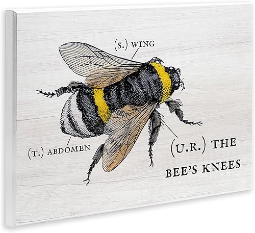 Vista 3 de Stupell Industries Anatomía de Honey Bee Pun Charming Bee's Knees