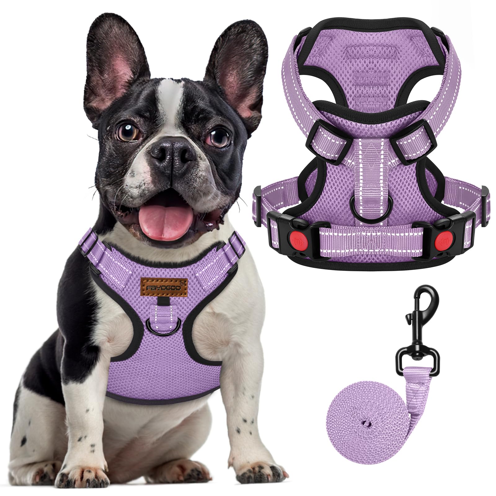 FAYOGOO Pettorina Cane, Pettorina Cane Taglia Media Regolabile, Traspirante Pettorina Cane Taglia Grande con Guinzaglio, Pettorina Antifuga Cane per la Corsa, Passeggiate, Jogging (Viola, M)