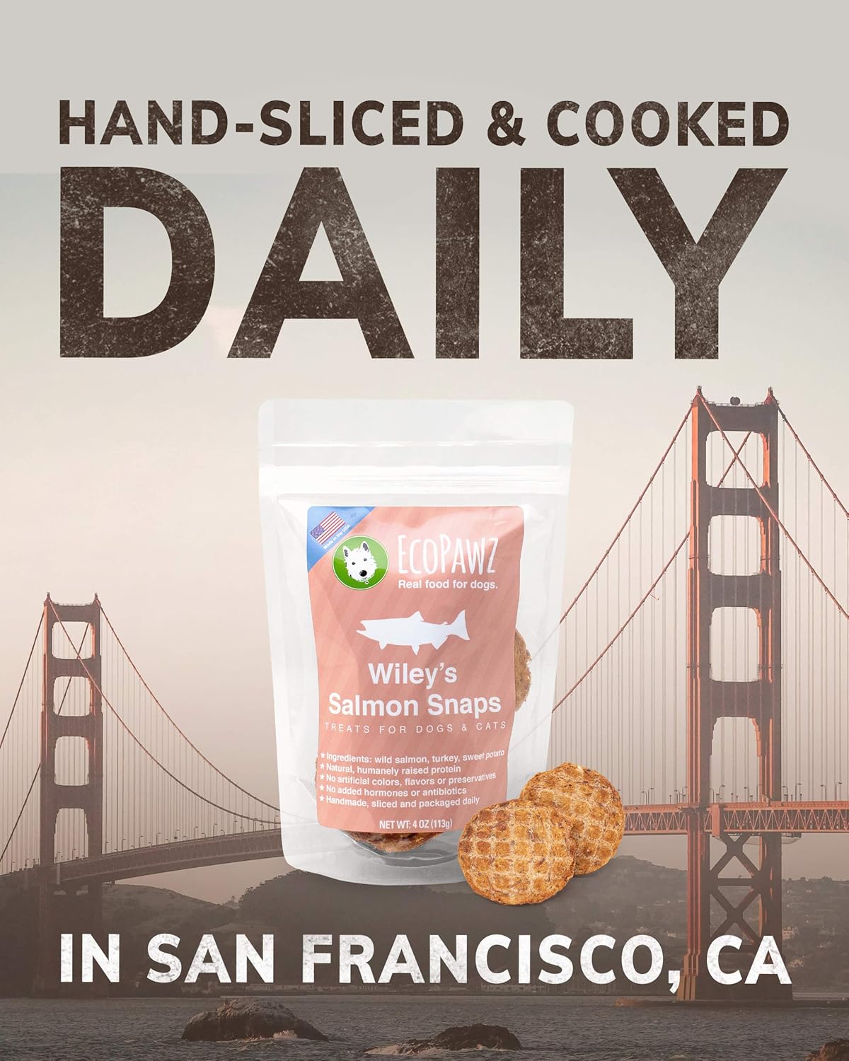 Wiley's Snaps Healthy Dog Treats, All-Natural, Human-Grade Dog Treats Made in the USA (Salmon, 2-Pack 4 oz. Bags)