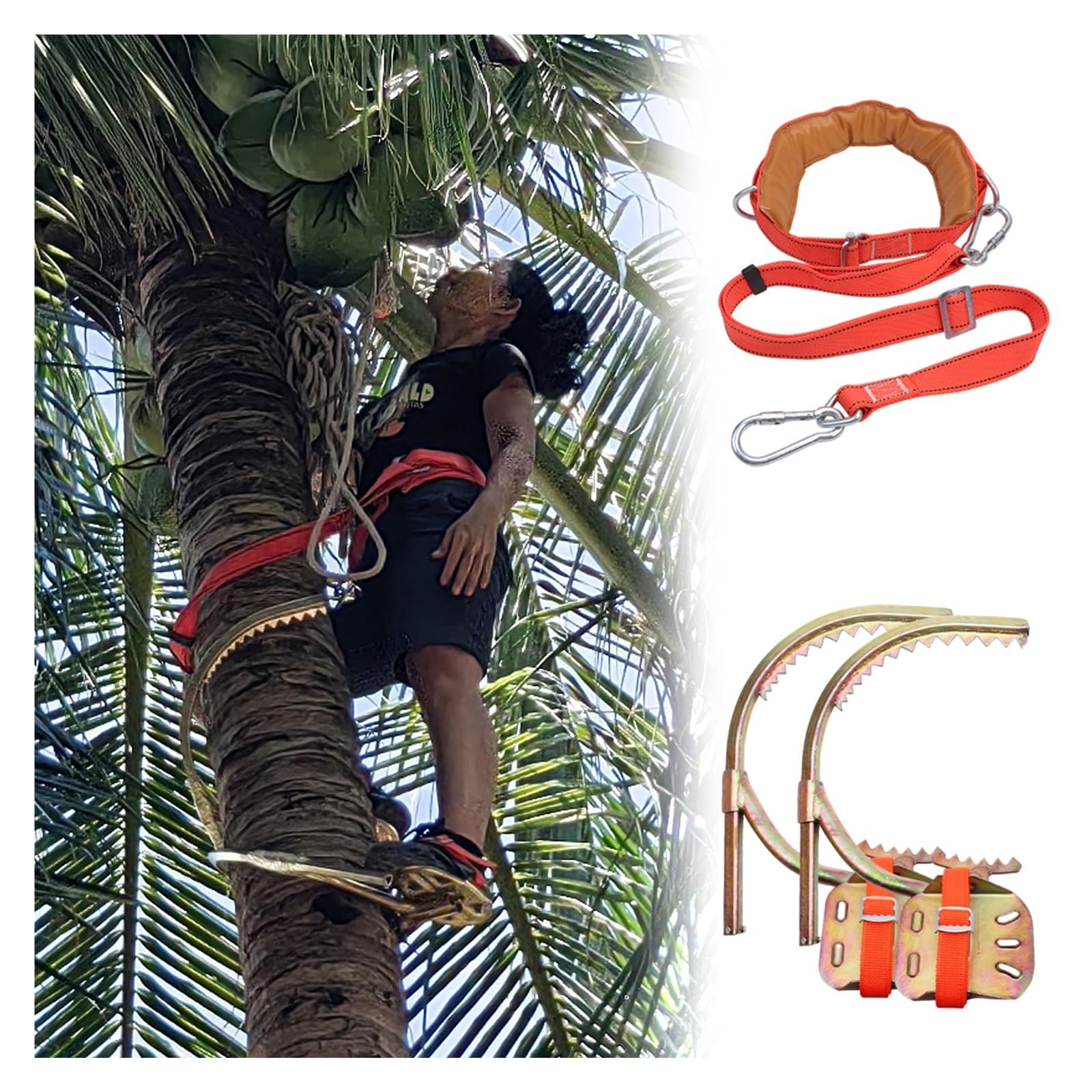 AMUFJJ Tree Climbing Gear Non-slip Pole Climbing Spikes, Slip-Proof Electrician Wooden Pole Foot Buckle, Safety Tree Climbings Shoes Artifact(Type 450mm (17.7in))