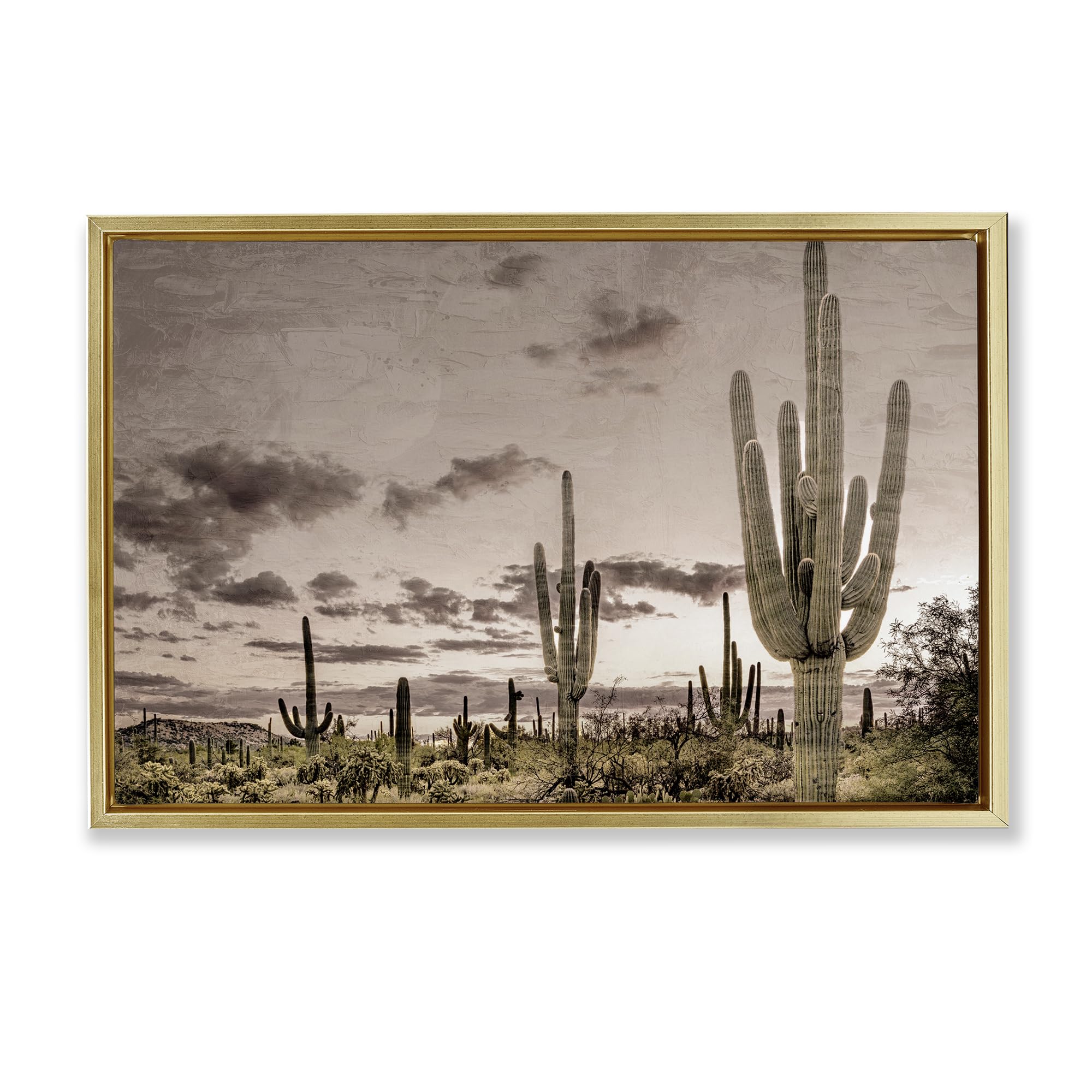 Desert Sky Cactus Wilderness, 20 x 30 Inch Canvas in Floater Frame