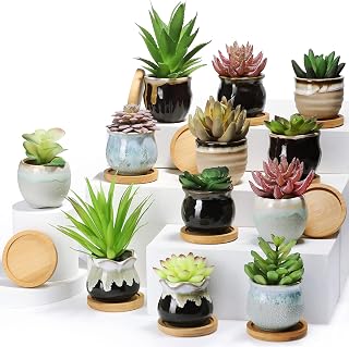 Remerry 12-Pack 2.5 Inch Mini Ceramic Succulent Pots with Drainage & Bamboo Trays - 6 Assorted Styles for Home Garden Office