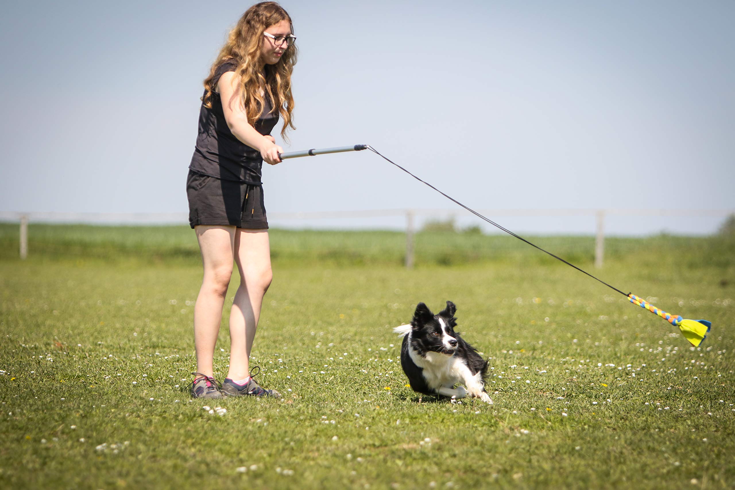 Poste de coqueteo para Perros con cordón no elástico Seguro y Fuerte, señuelo telescópico para Perros de Cualquier tamaño, Juguete para Perros para Entrenamiento y Ejercicio de Yes4Quality