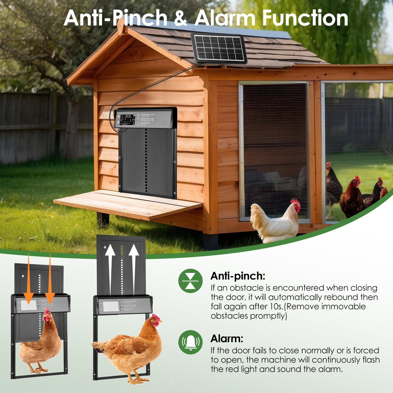 Puerta automática de gallinero solar IP45 aluminio con mando a distancia temporizador LED