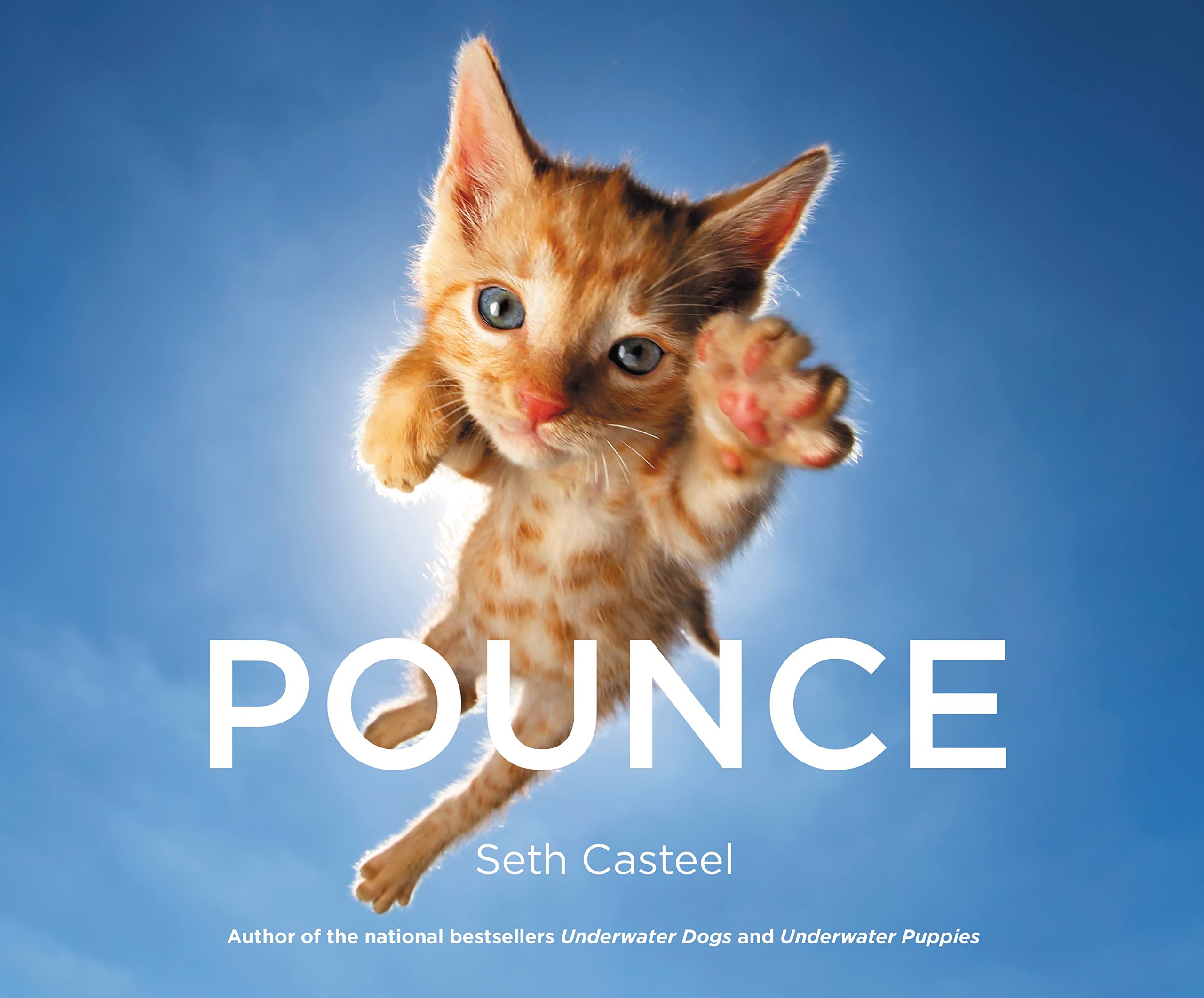 Pounce Hardcover – Illustrated, October 18, 2016