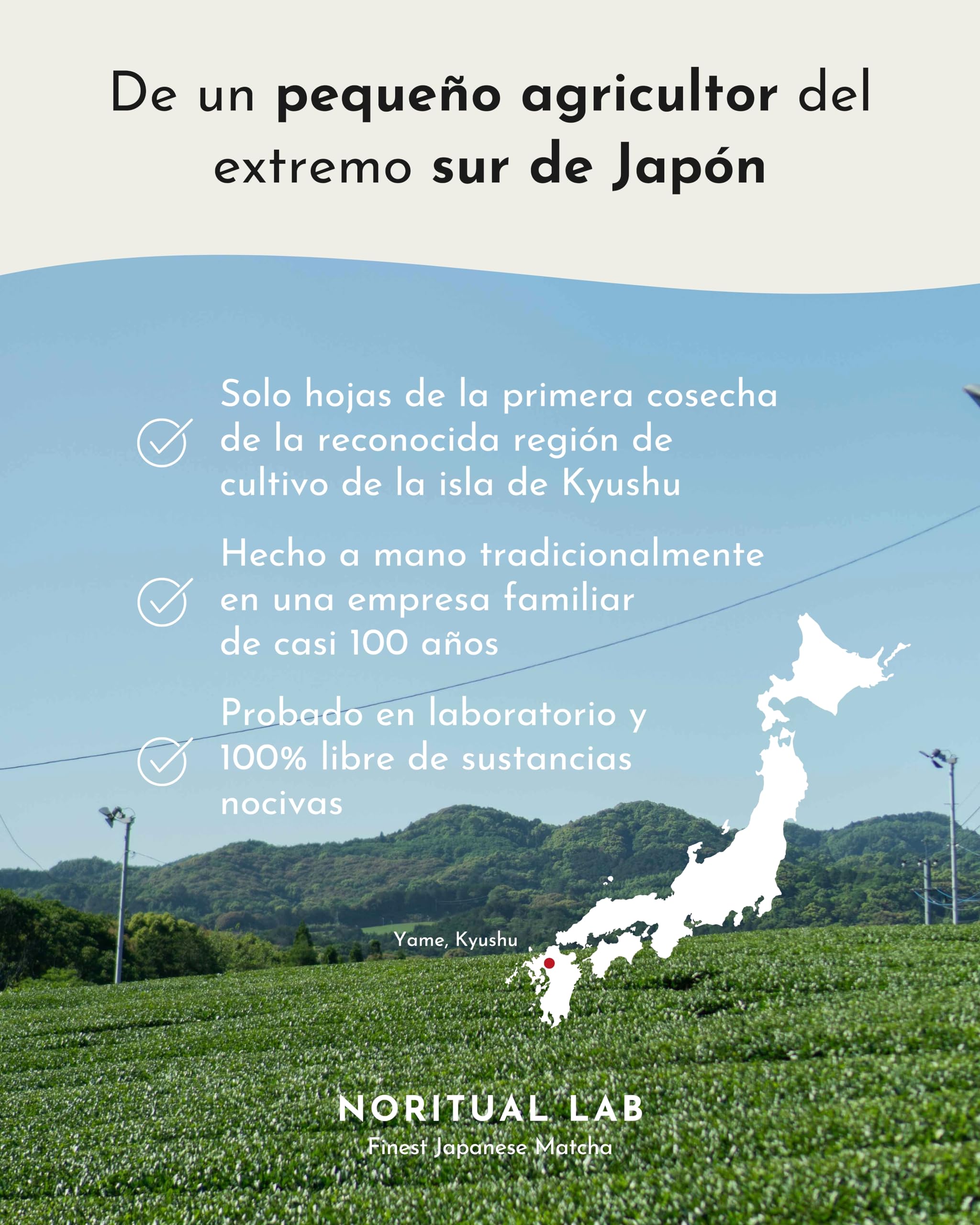 Matcha Ceremonial Puro de Japón - Té Verde Original de Primera Cosecha - 100% Natural y Analizado en Laboratorio (40g)