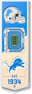 NFL Detroit Lions - Ford Field 3D Banner, Team Colors, 6" x 19"