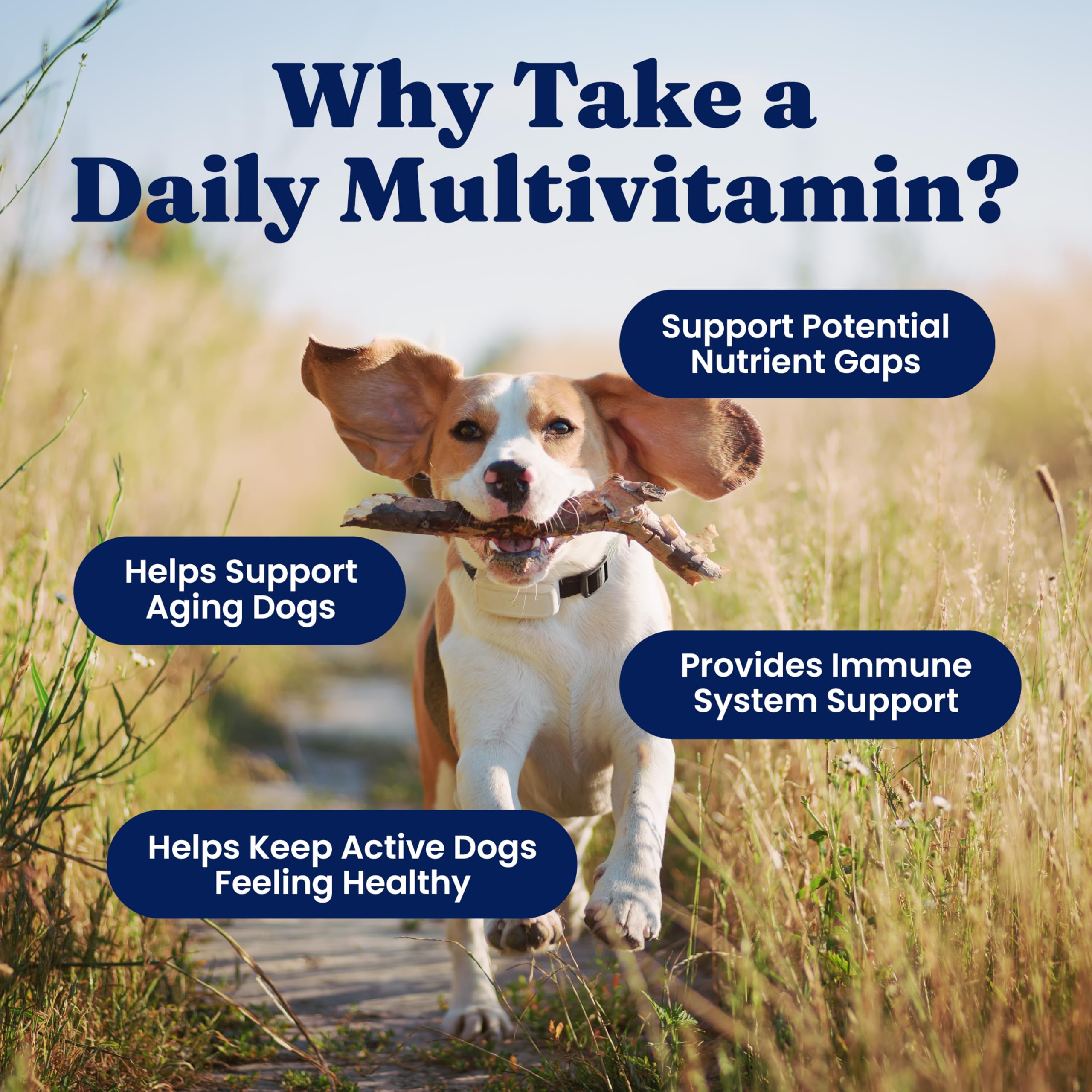 Solid Gold Dog Vitamins, Multivitamin Chews for Immune & Skin, 120ct — Amazon image 3