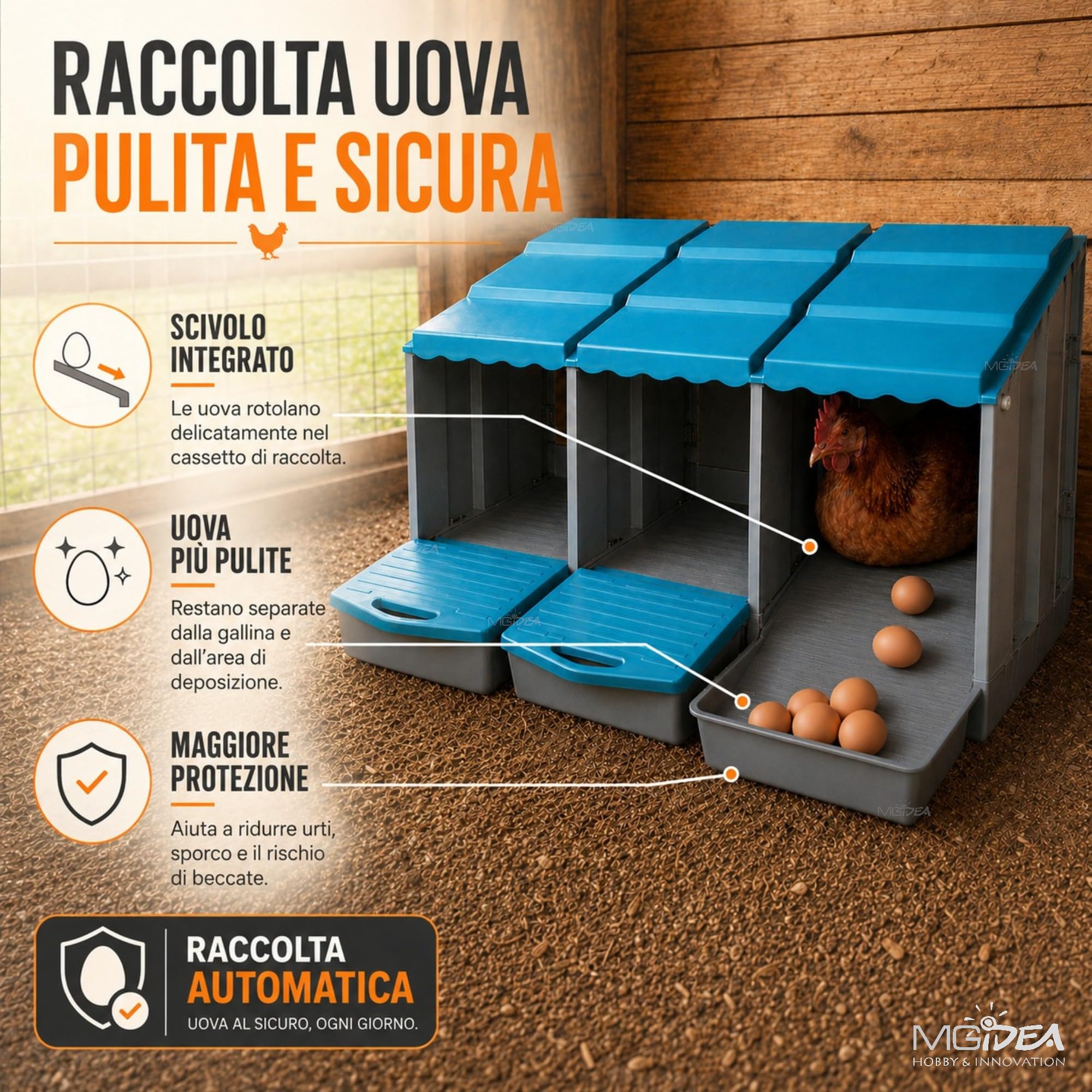 NIDO COVA UOVA GALLINE 3 POSTI OVAIOLE CHIOCCIA AUTOMATICA CASSETTO STRUTTURA RESISTENTE POLLAIO ALLEVAMENTO FATTORIA