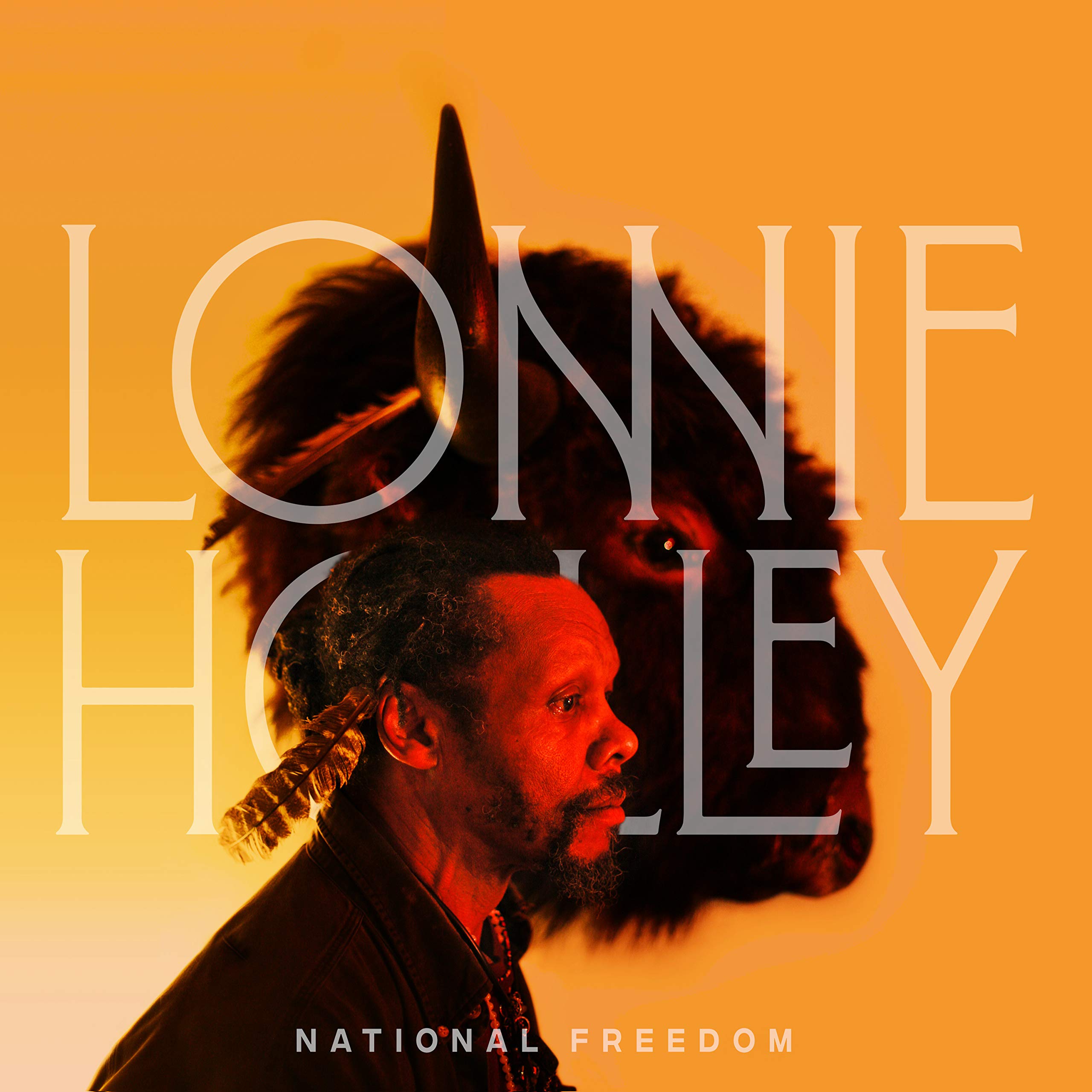 Lonnie Holley National Freedom LP vinyl USA Jagjaguwar 2020 brand new sealed has