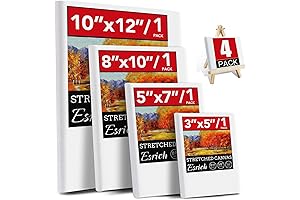 4 Packs Stretched Canvas for Cheap