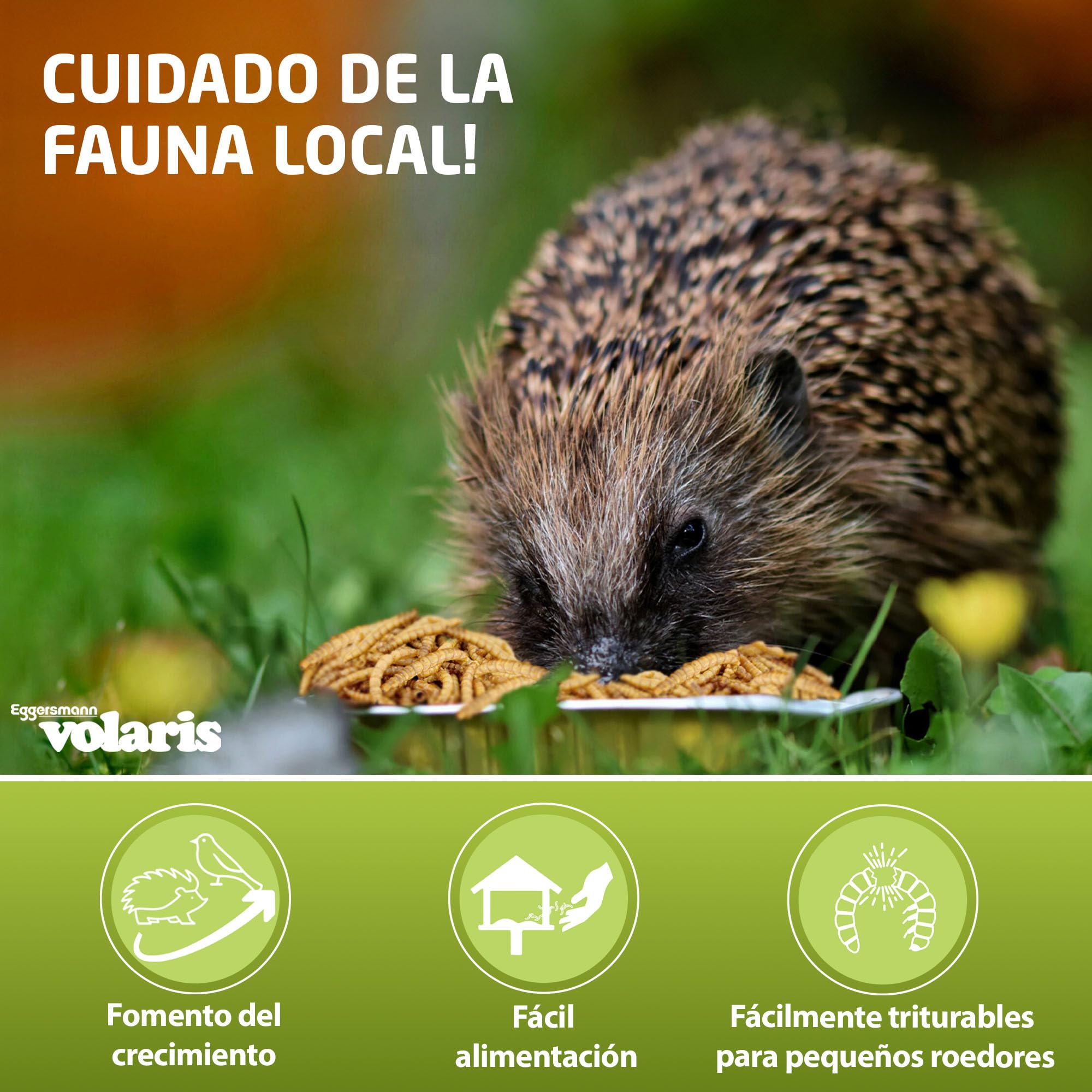 Eggersmann Volaris 10 kg Gusanos de la harina Secos | Ricos en proteínas y Naturales | Ideales para Todas Las Especies de Aves | Alimento para Aves Silvestres Durante Todo el año