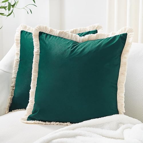 MONDAY MOOSE Decorative Throw Pillow Covers Cushion Cases, Set of 2 Soft Velvet 
