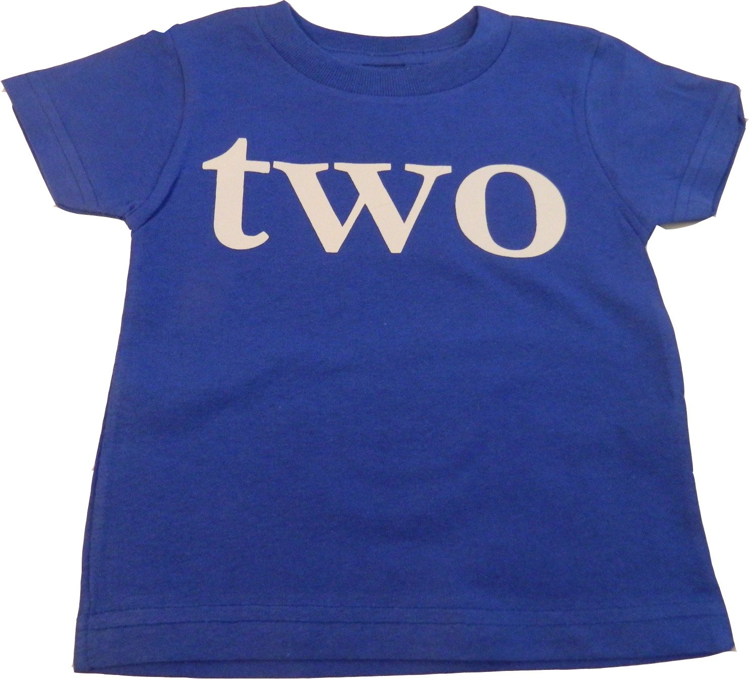 Custom Kingdom Baby Boys' Two Second Birthday T-Shirt Blue (3T)