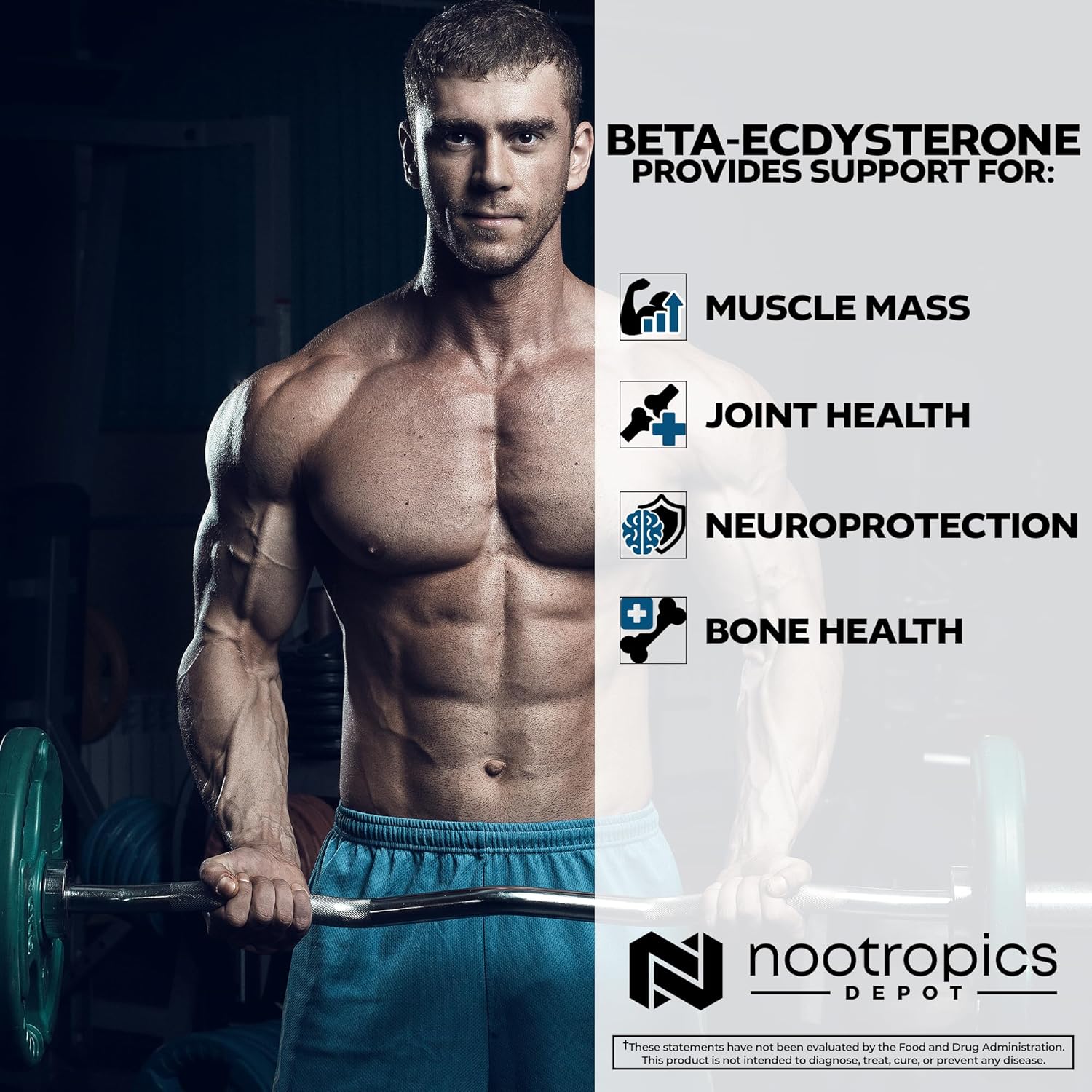 Nootropics Depot Beta Ecdysterone/20-Hydroxyecdysone 50% Tablets | 500mg | Cyanotis Arachnoidea Extract | Phytoecdysteroid | 30 Count - Image 8