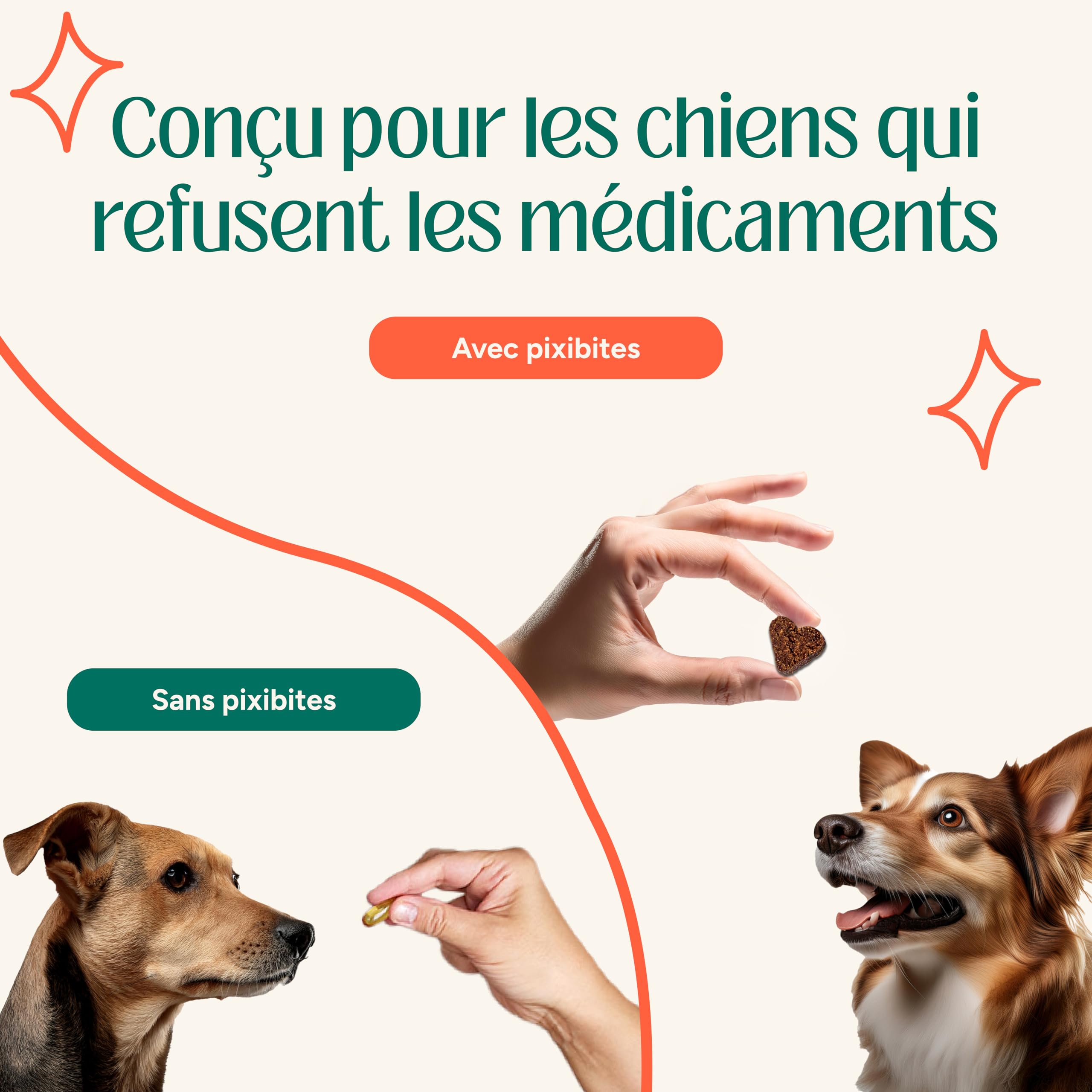 Probiotiques Chien, Complément Naturel pour la Santé Intestinale, Soutien Digestif et Immunitaire, Soulagement des Allergies Toutes Races (60 Chews)