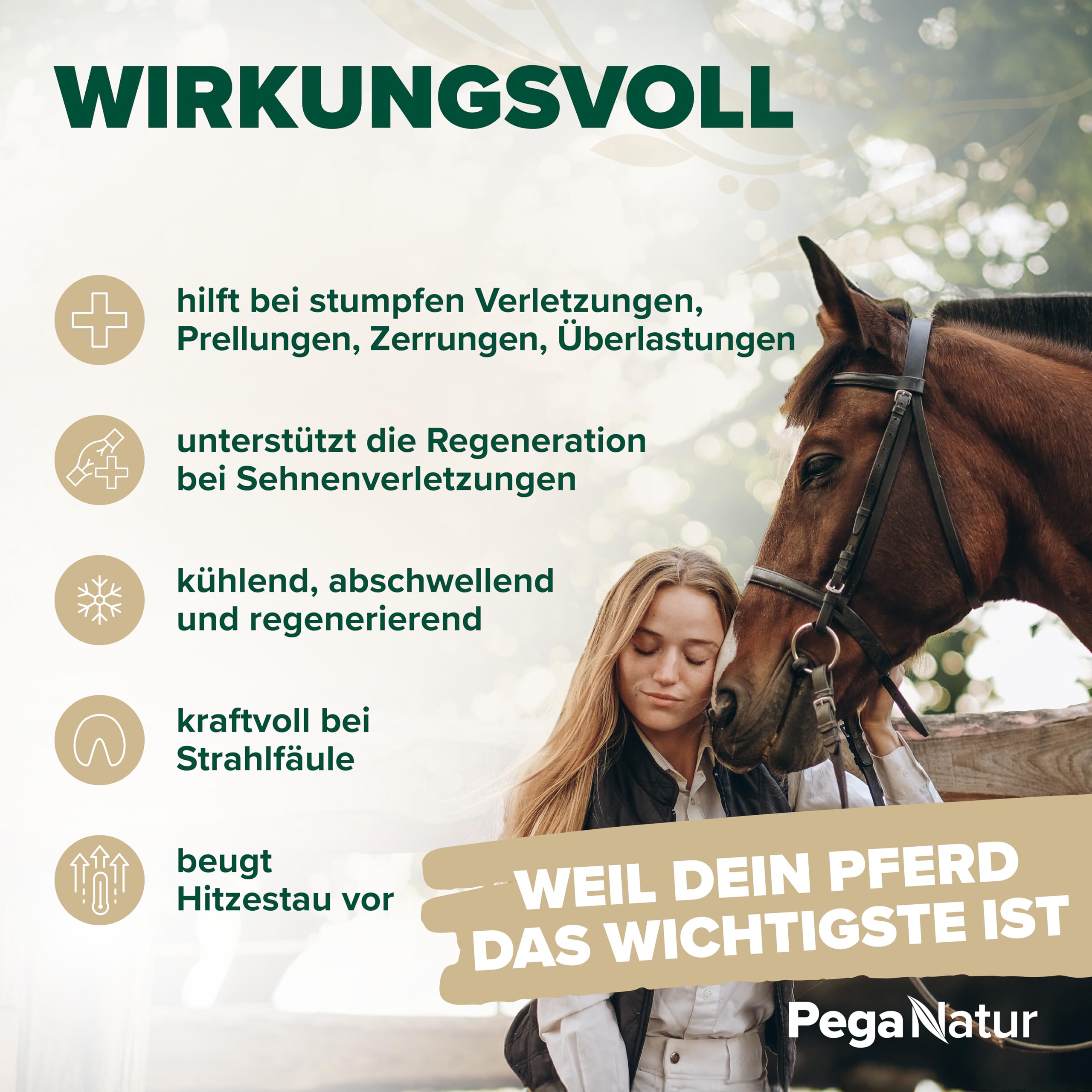 Cool Essigsaure Tonerde [wohltuend & kühlend] 2,5kg Pferdesalbe mit ätherische Öle hilft bei Regeneration, Entspannung, Bänder, Gelenke, Muskel & Muskelkater bei Pferde Pferdebalsam Heilerde