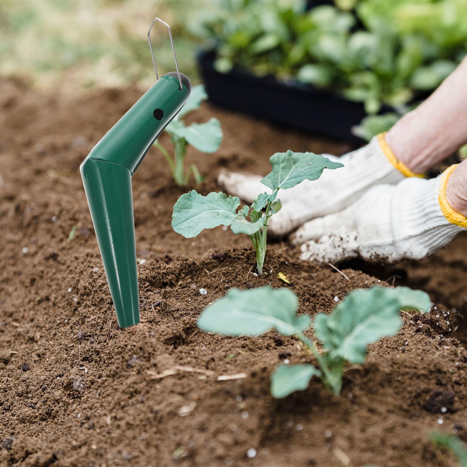 TOYANDONA Garten Langlebiges Pflanzholz Praktisches Gartenzubehör Robustes Gartenhandwerkzeug Ergonomischer Griff Für Müheloses Graben Für Topf Und Gartenpflanzen