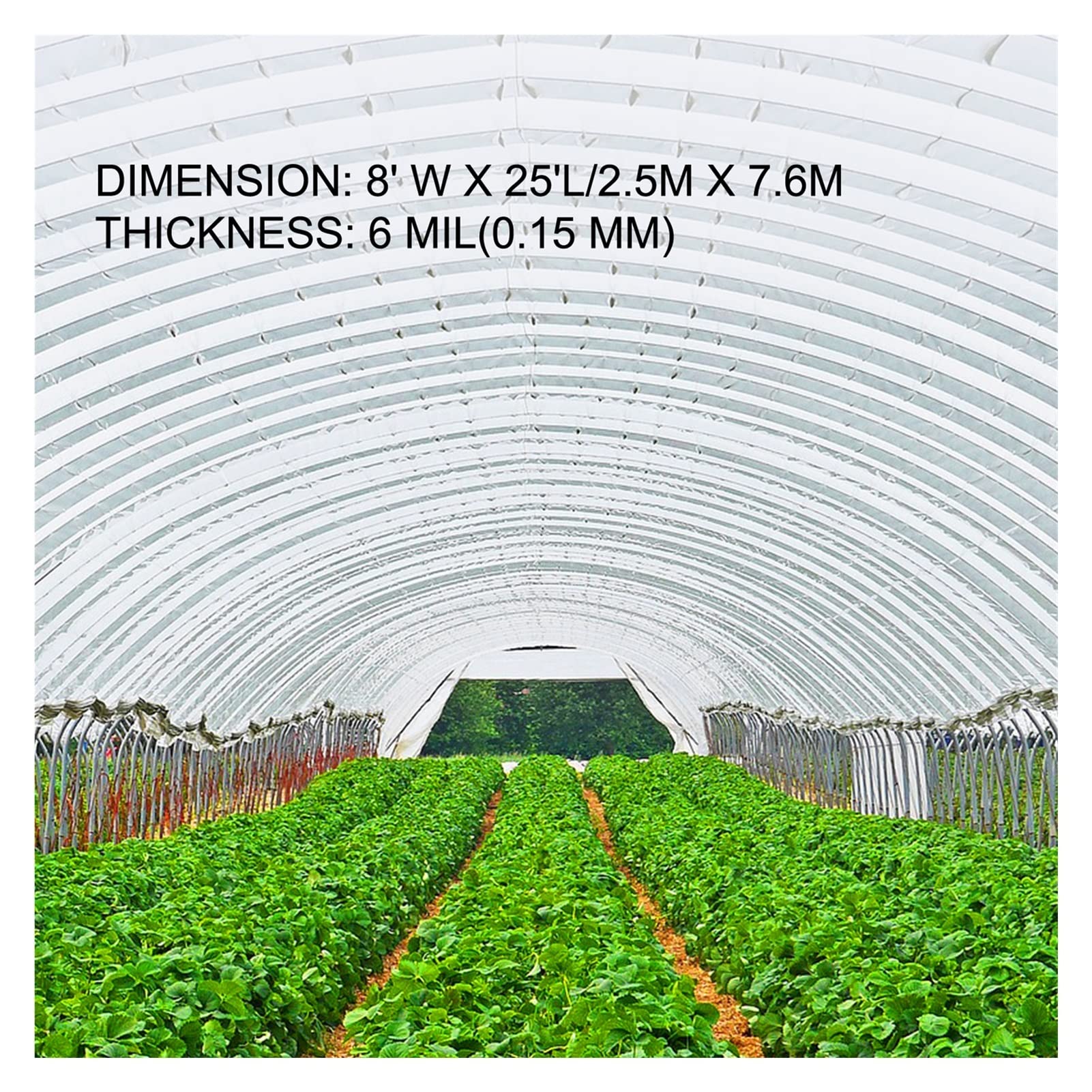 Film de serre agricole Capte ferme en plastique transparent Couverture légumes UV Plantes polyéthylène résistantes Fleurs plantes(8x25FT)