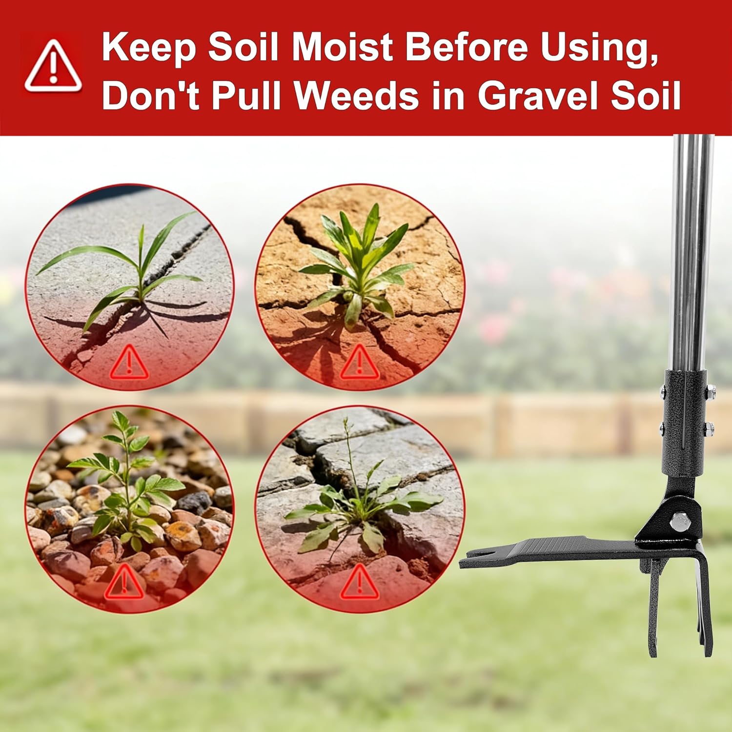 Weed Puller Tool Stand Up Hand Weeder Tool with Adjustable Long Handle, Weed Remover with Steel Head, Remove Weeds Root Easily without Bending, Pulling or Kneeling for Lawn Yard Garden(6 CLAWS)