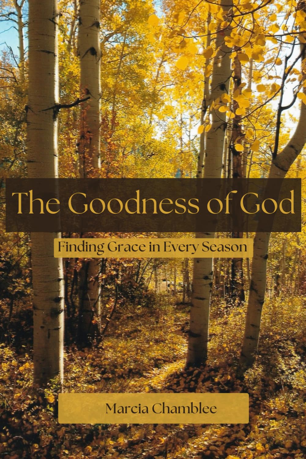 The Goodness of God: Finding Grace In Every Season