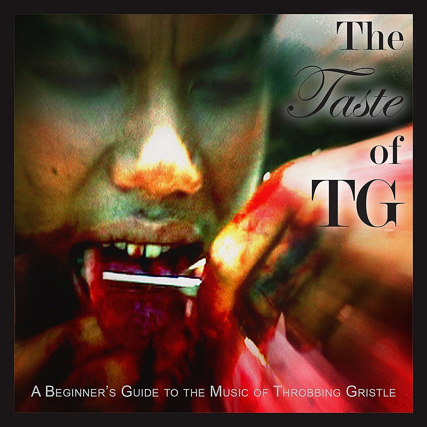 The Taste Of Throbbing Gristle: A Beginner's Guide To The Music Of Throbbing Gristle