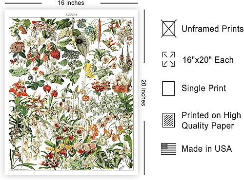Miniatura 527 de Poster Master Póster vintage de orquídea, estampado de flores retro, arte de pared de plantas exóticas, arte botánico, regalo para hombres y