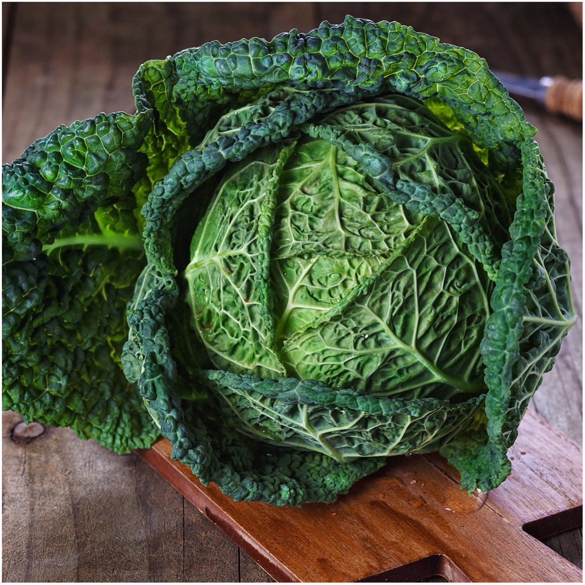 300+ Red Acre Cabbage Seeds - Non-GMO, Heirloom Vegetable Seeds For Garden (USA)