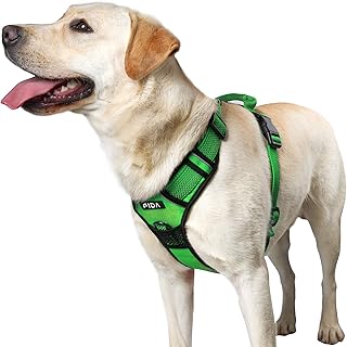 wonder walker harness amazon