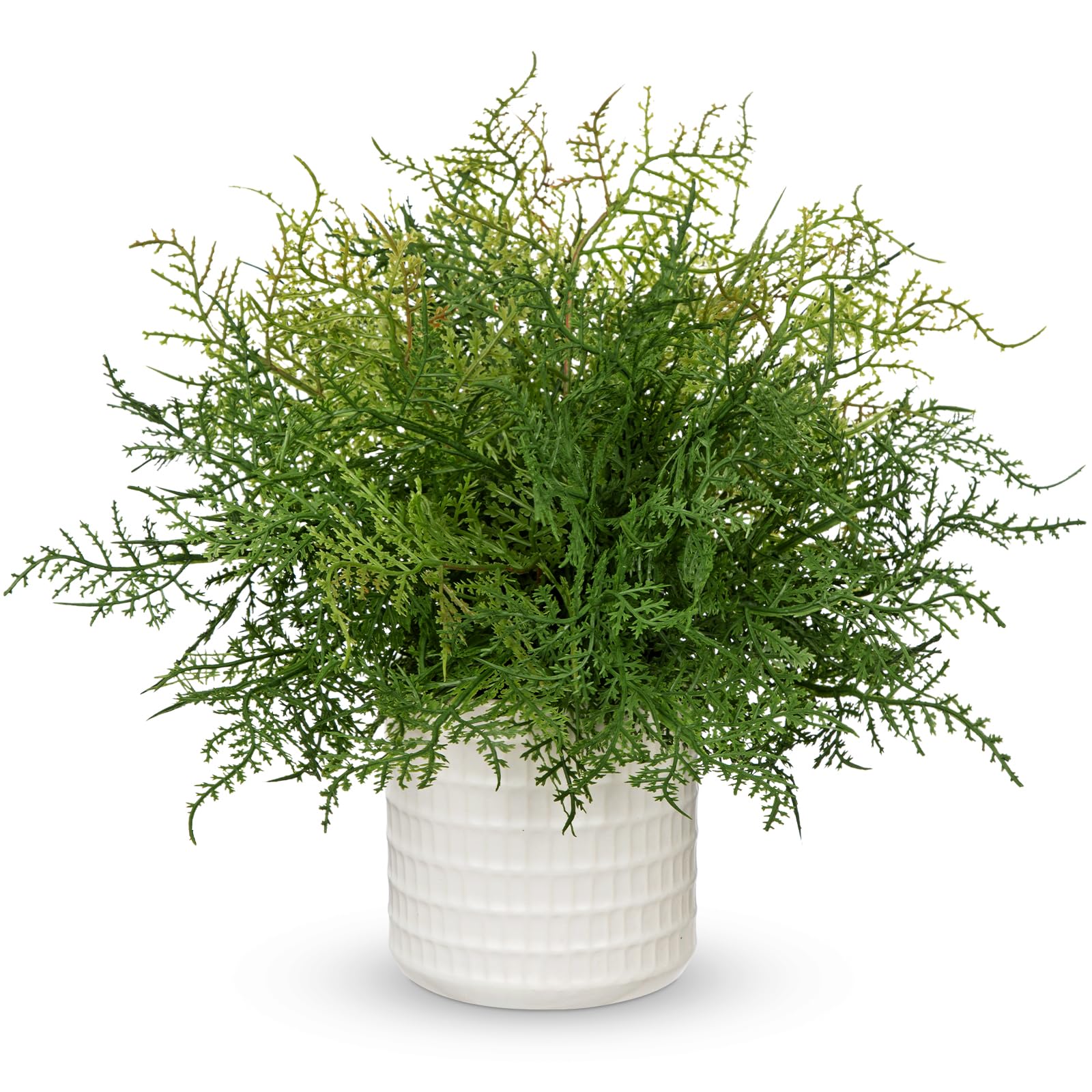 Hollyone 33CM Artificial Asparagus Fern Potted Plant, Fake Fern Bushes in White Ceramic Pot, Fake Greenery Plants for Home Decor, Garden, Patio, Balcony, Table, Office, Living Room Decorations