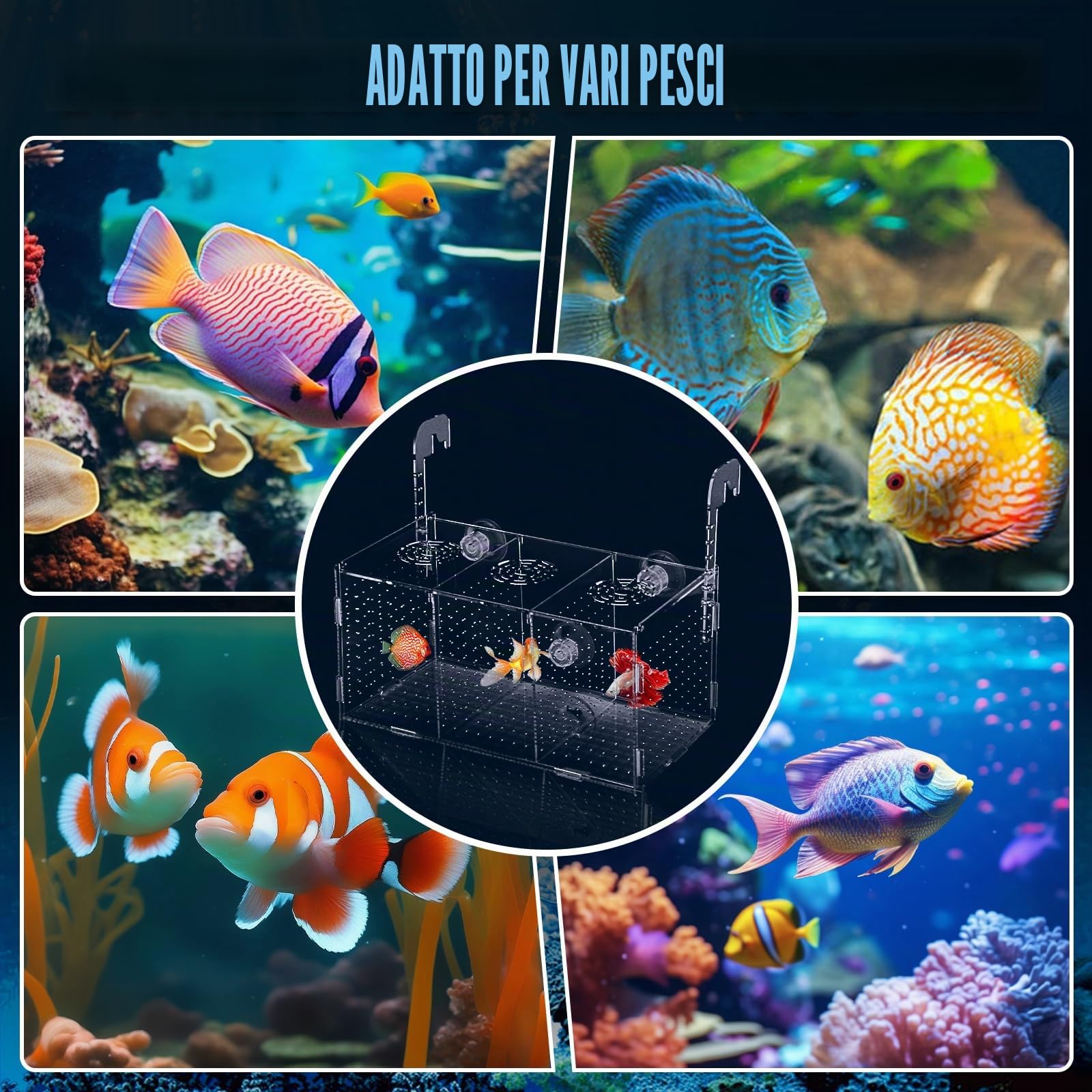 Scatola di Allevamento di Pesci d'Acquario, Scatola di Isolamento per Allevamento di Acquario Trasparente in Acrilico Incubatrice Pensili con Ventose per Neonati Gamberetti, 30x15x15 cm