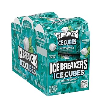 ICE BREAKERS Ice Cubes Wintergreen Flavored Sugar Free Chewing Gum Bottles, 3.24 oz 40 Count (Pack of 12)