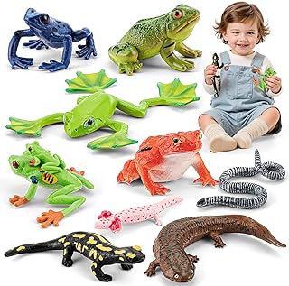 9PCS Amphibian Animals Figurines Toys for Kids with Rainforest Reptile Animals Figurines Include Salamanders, Ichthyophis, Frog Figures, Cake Toppers Party Favors for Toddler