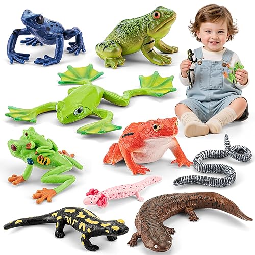 THINKBAY 9PCS Amphibian Animals Figurines Toys for Kids with Rainforest Reptile Animals Figurines Include Salamanders, Ichthyophis, Frog Figures, Cake Toppers Party Favors for Toddler