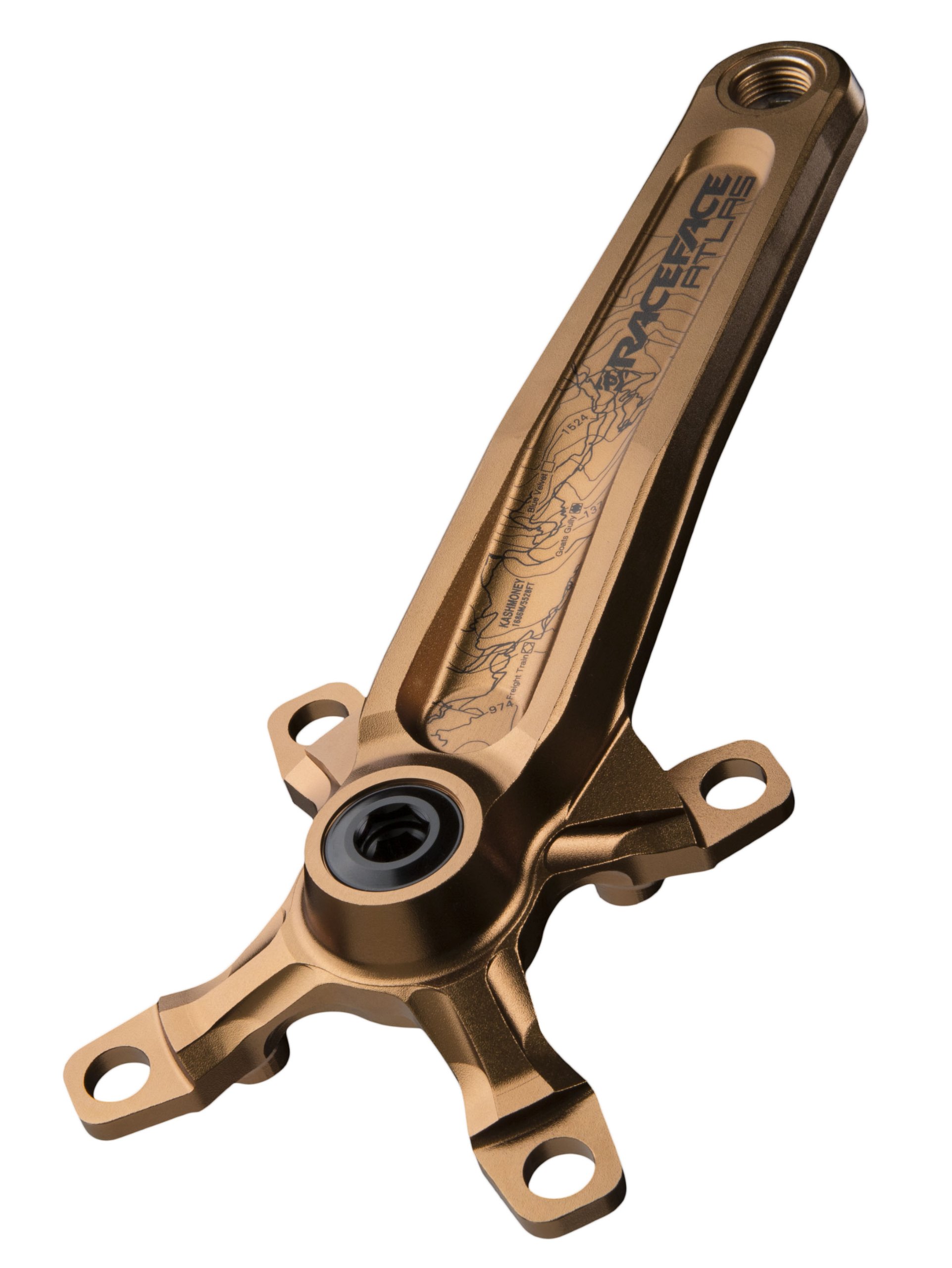 RaceFace Atlas Mountain Bike Crankset, Kash Money, 175mm with 68