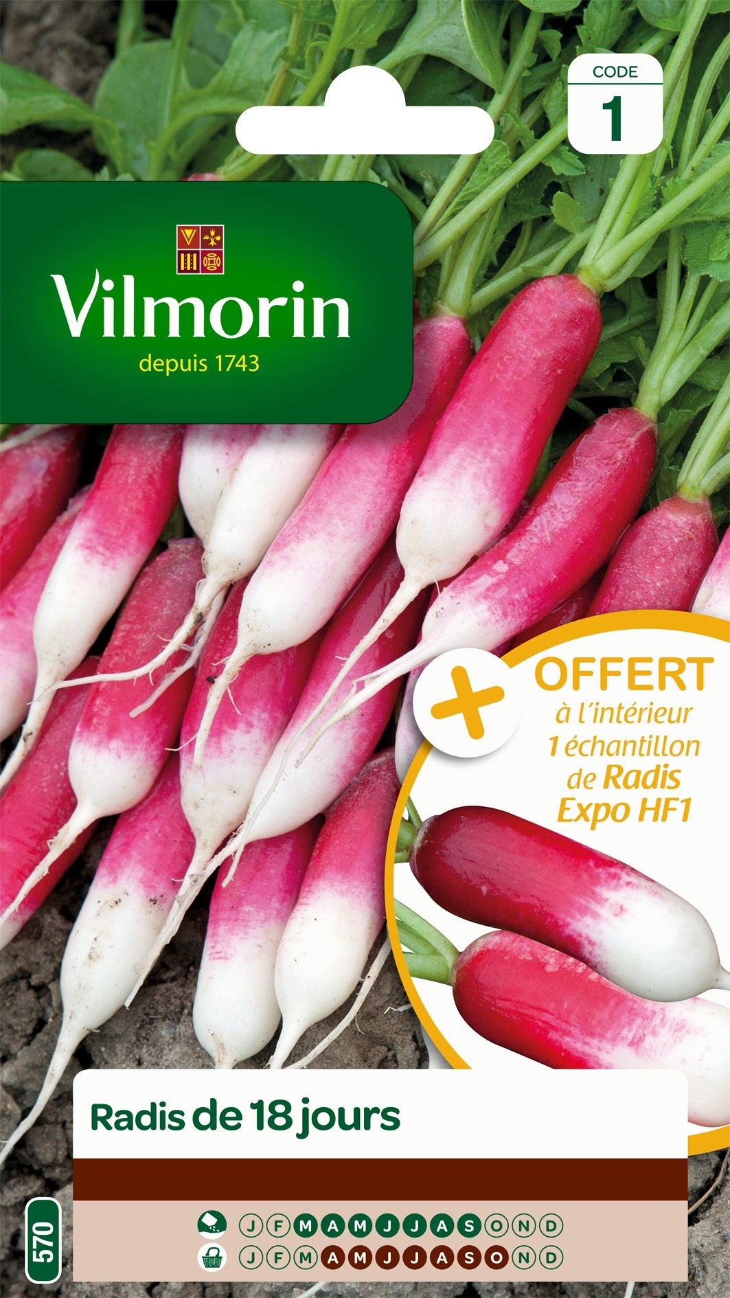 Radis rouge de potager Vilmorin 3882041 semences de légumes