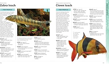 810alpDgFSL._AC_UF350,