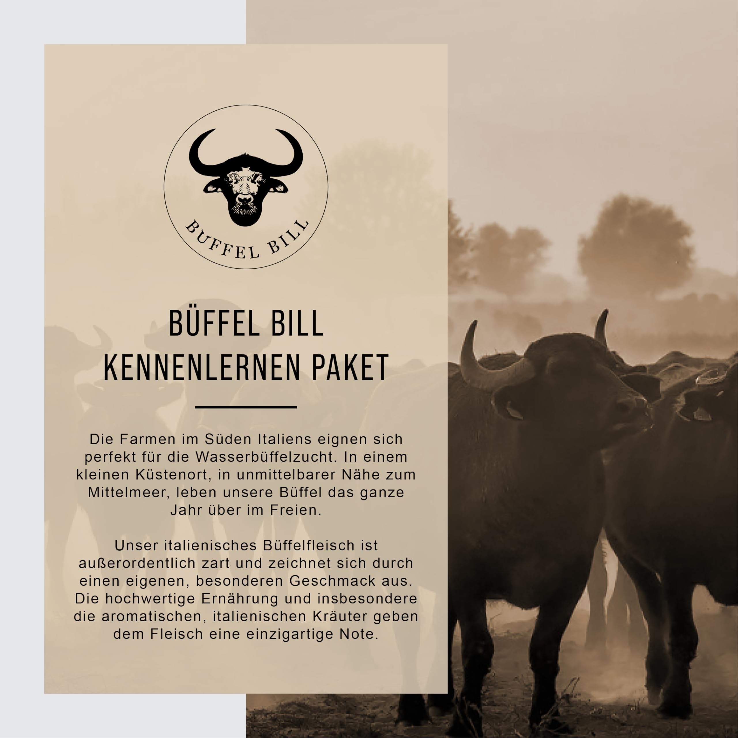 Büffel Bill Kennenlernpaket I Büffelfleisch Variationen für Genießer I Original vom italienischen Wasserbüffel I Bratwurst, Steak, Filet, Mozzarella