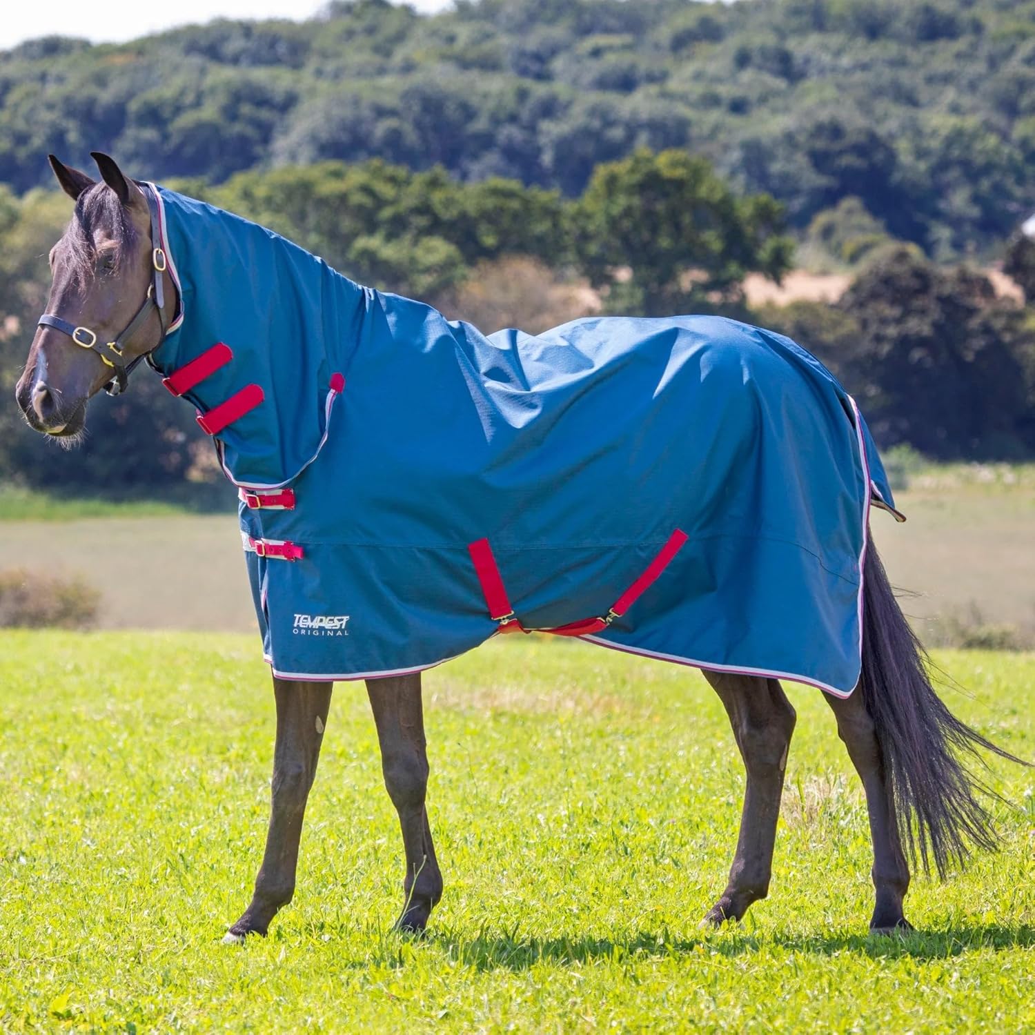 Shires Tempest Original Lite Turnout Combo Rug - 0g Fill Lightweight Horse Blanket - Multiple Sizes 57