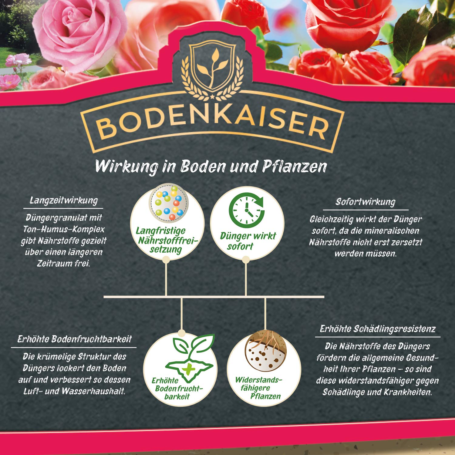 Rosendünger als Granulat, organisch-mineralischer Spezialdünger für Rosen mit Langzeit-Wirkung, 2,5 kg im praktischen Eimer, Dünger Granulat für gesunde Pflanzen