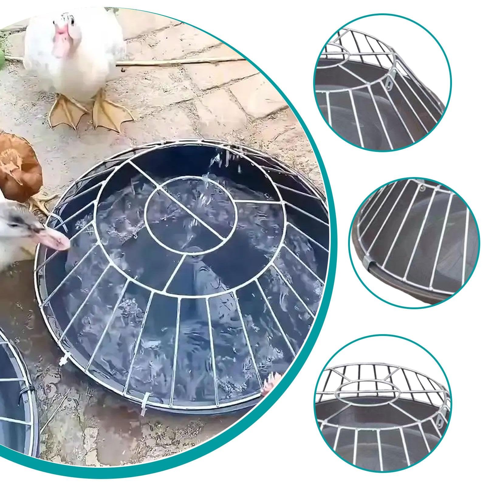 Comedero para Pollos, Comedero para Aves de Corral, Comedero Portátil, Cubo para Alimentar Gansos, 30 Hoyos