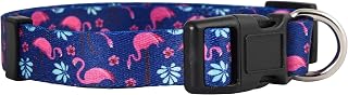Native Pup Flamingo Dog Collar for Spring Summer, Cute Girly Patterns for Female Puppies, Durable Nylon for Small or Large Breed (Flamingo, Medium)